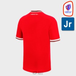 WALES COUNTRY RUGBY WORLD CUP COTTONPOLY T-SHIRT JR