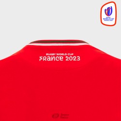 Camiseta Jr. fan Gales RWC 2023
