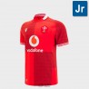 WALES RUGBY HOME JERSEY SS JR