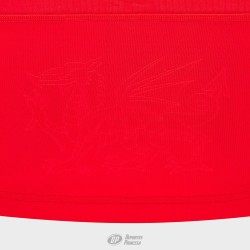 Polo rugby Gales Classic rojo | Deportes Princesa