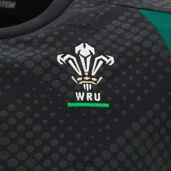 Camiseta de Gimnasio sin Mangas Gales Rugby | Deportes Princesa