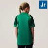 Camiseta Oficial Irlanda Rugby Home Pro Junior Canterbury  | Deportes Princesa