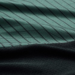 Camiseta sin mangas Irlanda rugby oficial | Deportes Princesa