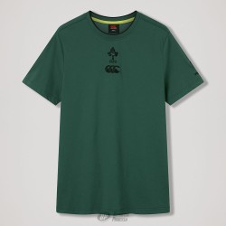 Camiseta algodón Irlanda supporter