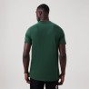 Camiseta algodón Irlanda Supporter | Deportes Princesa