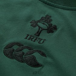 Camiseta algodón Irlanda Supporter | Deportes Princesa
